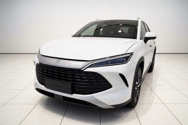 BYD Song L DM-i 2024 112 km Leading Edition usata