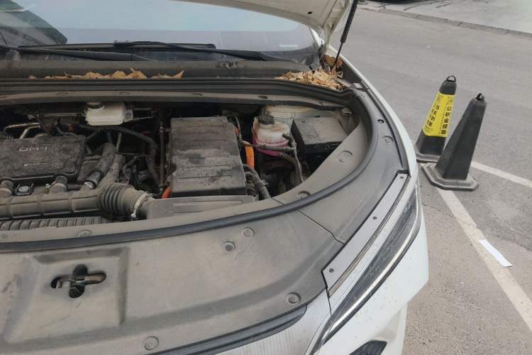Used BYD Song L DM-i 2024 112 km Beyond Edition Engine Bay Left