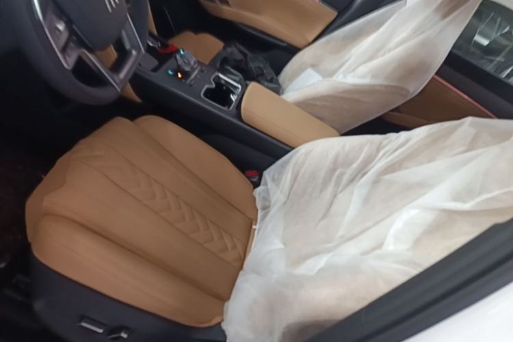 Used BYD Song L DM-i 2024 112 km Beyond Edition Left Front Seat