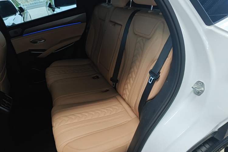 Used BYD Song L DM-i 2024 112 km Beyond Edition Left Rear Seat