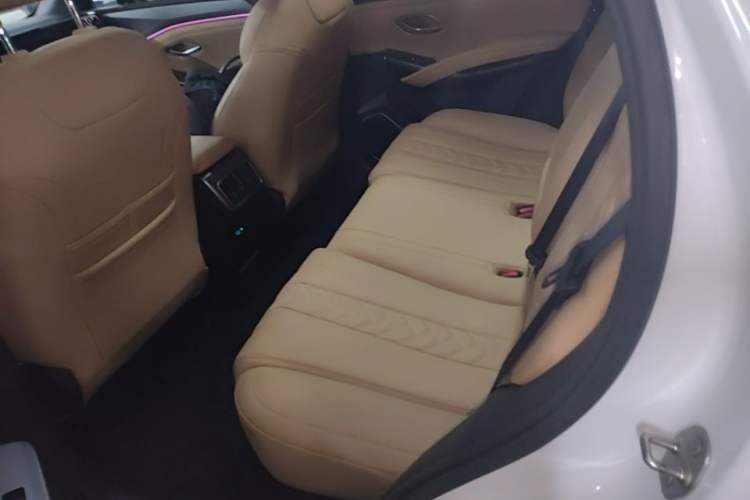 Used BYD Song L DM-i 2024 112 km Beyond Edition Left Rear Seat