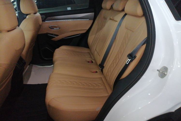 Used BYD Song L DM-i 2024 112 km Beyond Edition Left Rear Seat