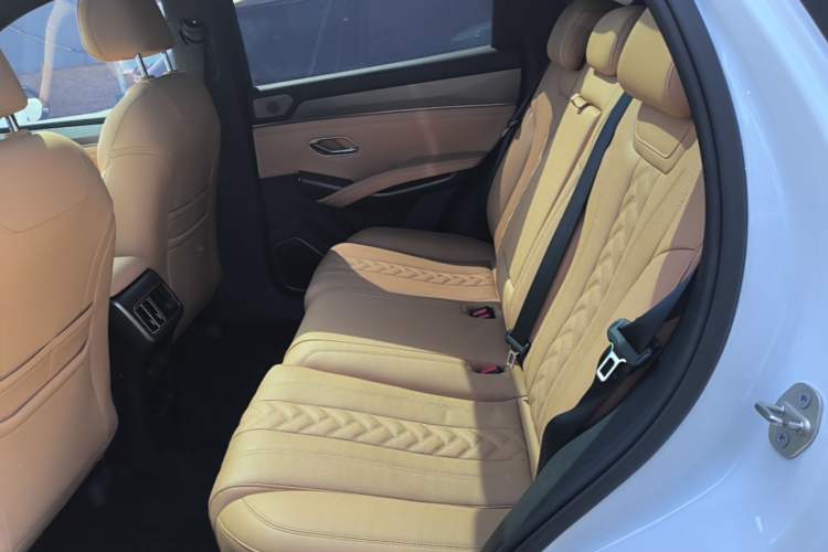 Used BYD Song L DM-i 2024 112 km Beyond Edition Left Rear Seat