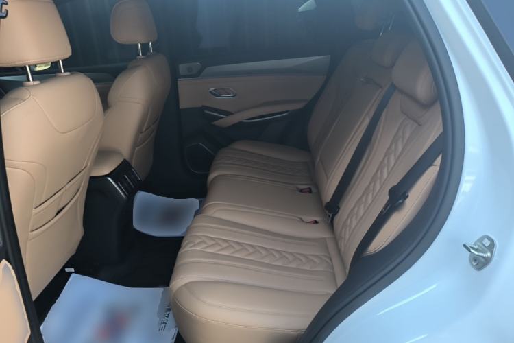 Used BYD Song L DM-i 2024 160 km Excellence Version Left Rear Seat