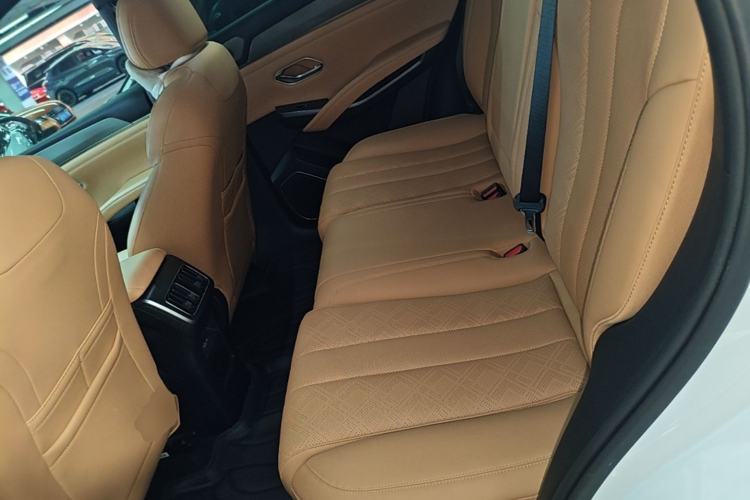 Used BYD Song L DM-i 2024 112 km Leading Edition Left Rear Seat
