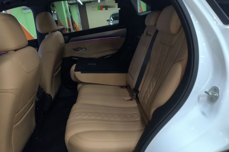 Used BYD Song L DM-i 2024 160 km Excellence Version Left Rear Seat