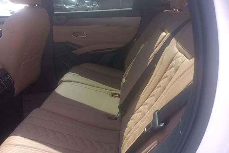 Used BYD Song L DM-i 2024 112 km Beyond Edition Left Rear Seat