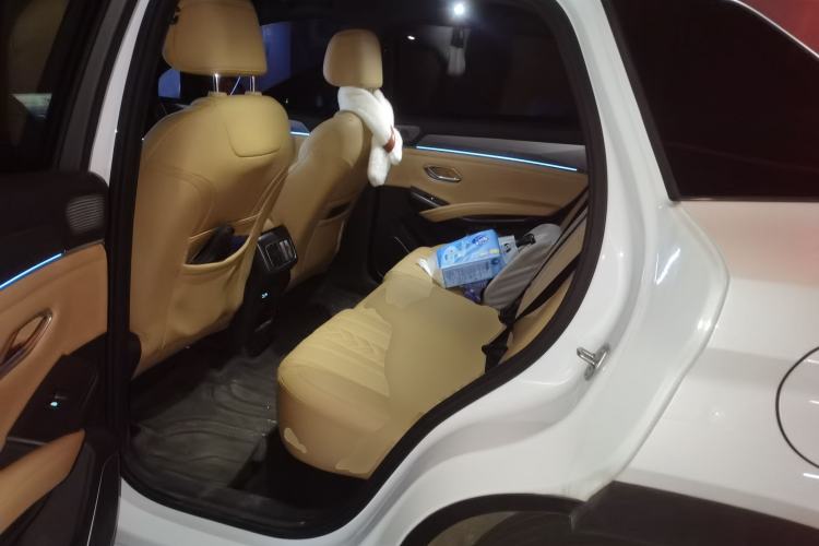 Used BYD Song L DM-i 2024 112 km Beyond Edition Left Rear Seat