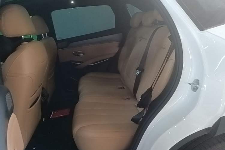 Used BYD Song L DM-i 2024 75km Leading Edition Left Rear Seat