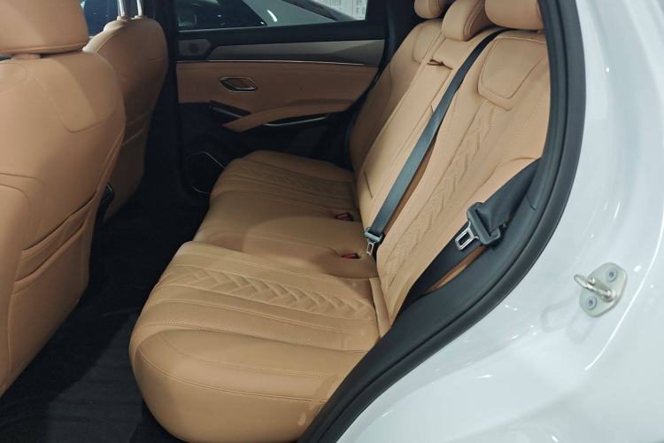 Used BYD Song L DM-i 2024 112 km Beyond Edition Left Rear Seat