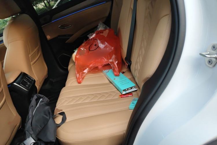 Used BYD Song L DM-i 2024 160km Beyond Edition Left Rear Seat
