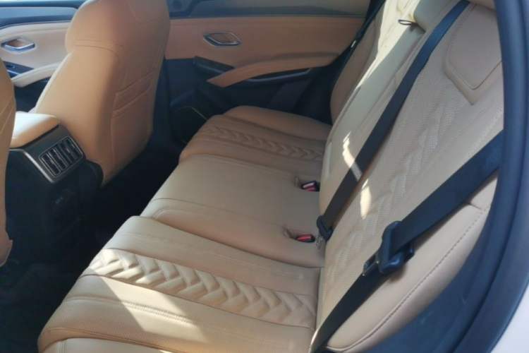 Used BYD Song L DM-i 2024 112 km Beyond Edition Left Rear Seat