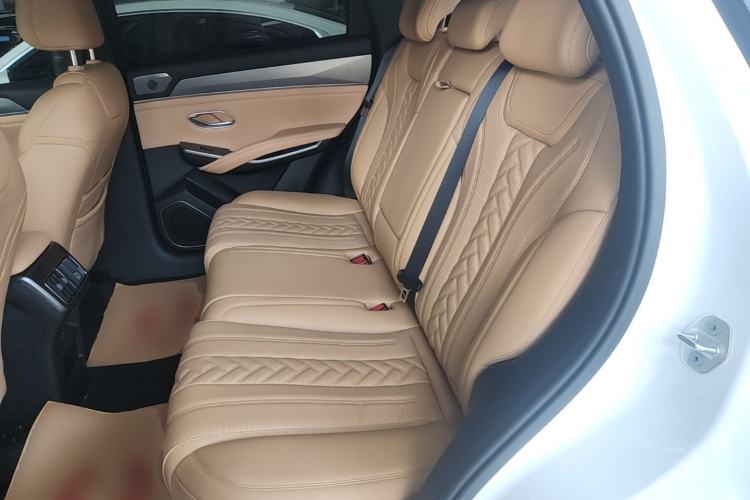 Used BYD Song L DM-i 2024 160 km Excellence Version Left Rear Seat