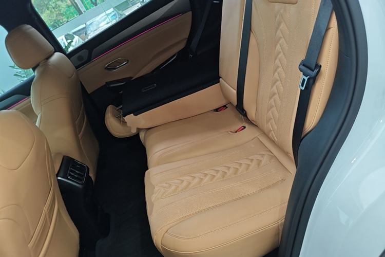 Used BYD Song L DM-i 2024 112 km Beyond Edition Left Rear Seat