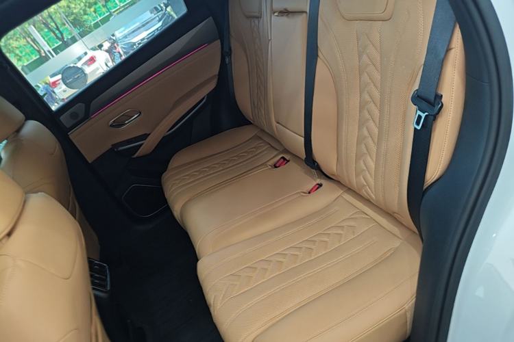 Used BYD Song L DM-i 2024 112 km Beyond Edition Left Rear Seat