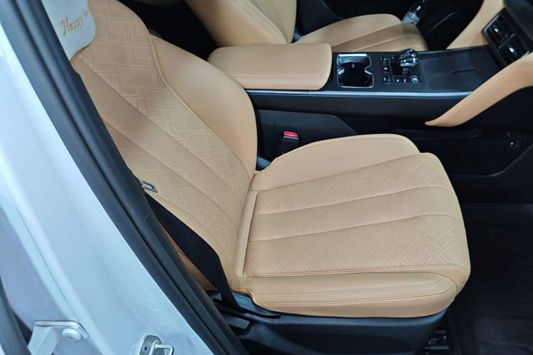 Used BYD Song L DM-i 2024 112 km Leading Edition Right Front Seat