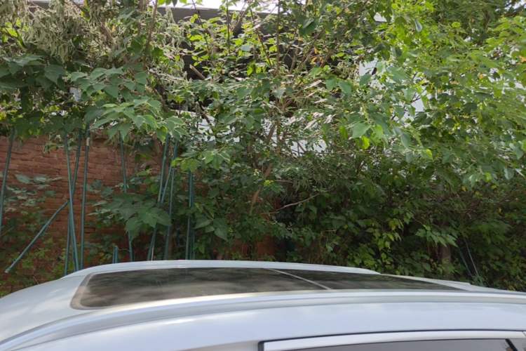Used BYD Song L DM-i 2024 112 km Beyond Edition Roof