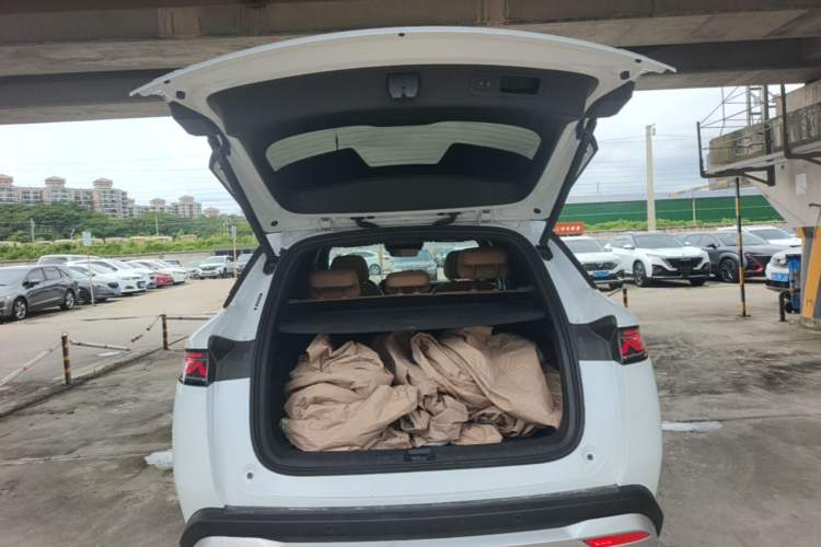 Used BYD Song L DM-i 2024 112 km Beyond Edition Trunk