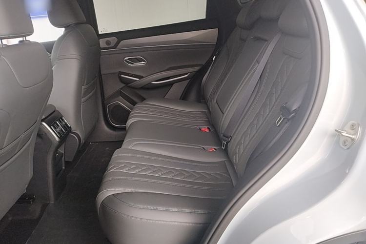 Used BYD Song L DM-i 2025 Intelligent Driving Version 160 km Beyond-Range Type Left Rear Seat