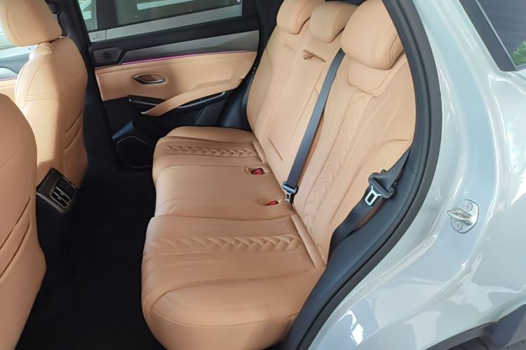 Used BYD Song L DM-i 2025 Intelligent Driving Version 160 km Beyond-Range Type Left Rear Seat