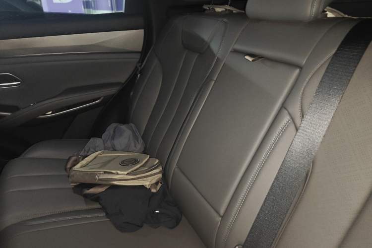 Used BYD Song L DM-i 2025 Intelligent Driving Version 112 km Leading Trim Left Rear Seat
