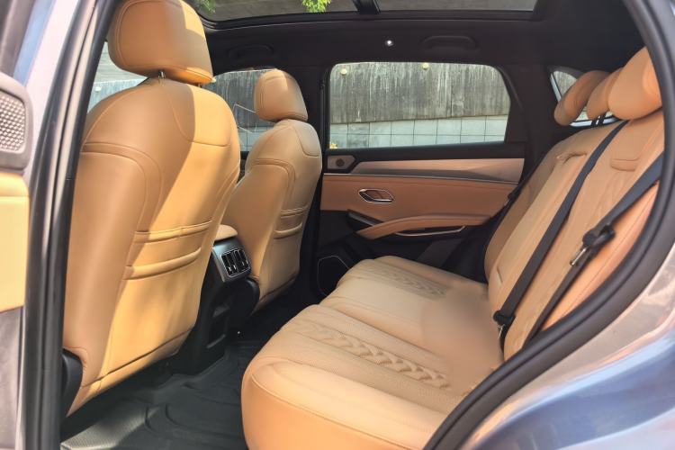 Used BYD Song L DM-i 2025 Intelligent Driving Version 160 km Beyond-Range Type Left Rear Seat
