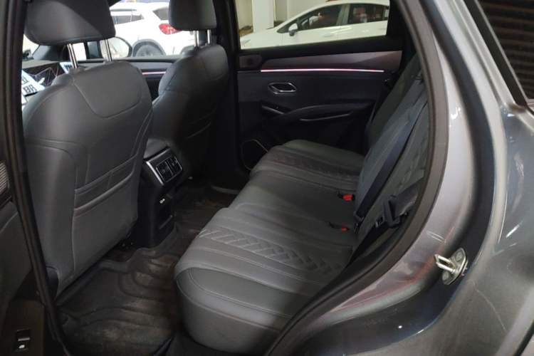 Used BYD Song L DM-i 2025 Intelligent Driving Version 160 km Beyond-Range Type Left Rear Seat
