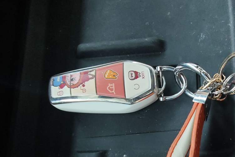 Used BYD Song L DM-i 2025 Intelligent Driving Version 112 km Beyond-Range Type Vehicle Key