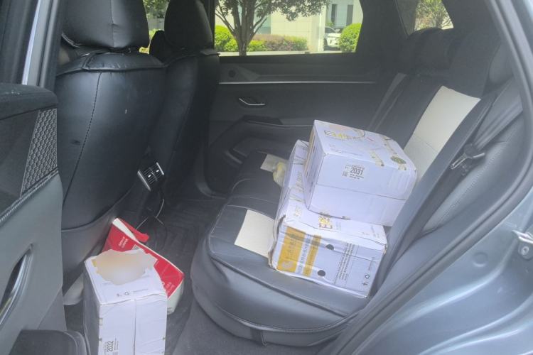 Used BYD Song L DM-i  Left Rear Seat