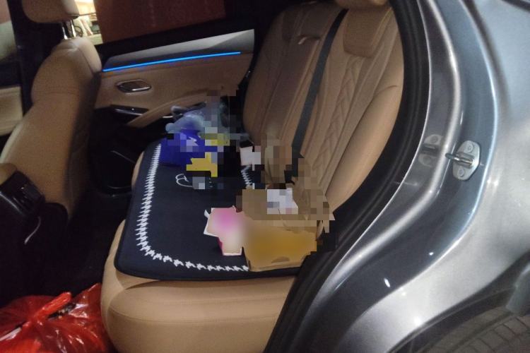 Used BYD Song L DM-i 2025 Intelligent Driving Version 112 km Beyond-Range Type Left Rear Seat
