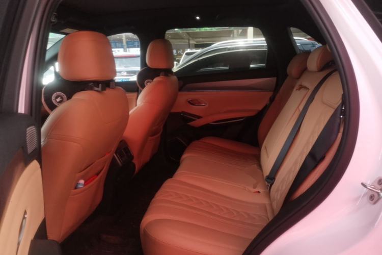 Used BYD Song L DM-i 2025 Intelligent Driving Version 160 km Beyond-Range Type Left Rear Seat
