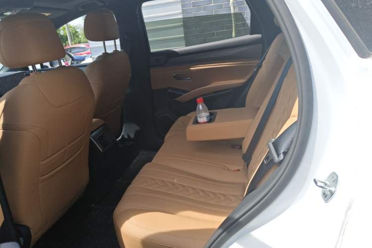 Used BYD Song L DM-i 2025 Intelligent Driving Version 160 km Beyond-Range Type Left Rear Seat