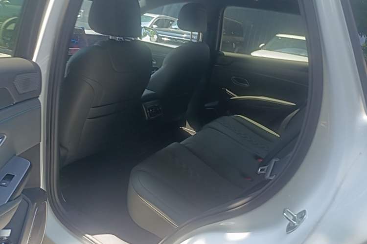 Used BYD Song L DM-i 2025 Intelligent Driving Version 160 km Beyond-Range Type Left Rear Seat