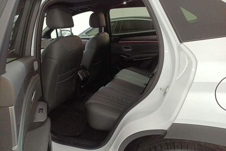 Used BYD Song L DM-i 2025 Intelligent Driving Version 160 km Beyond-Range Type Left Rear Seat