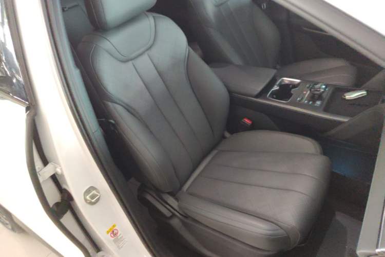 Used BYD Song L DM-i 2025 Intelligent Driving Version 112 km Leading Trim Right Front Seat