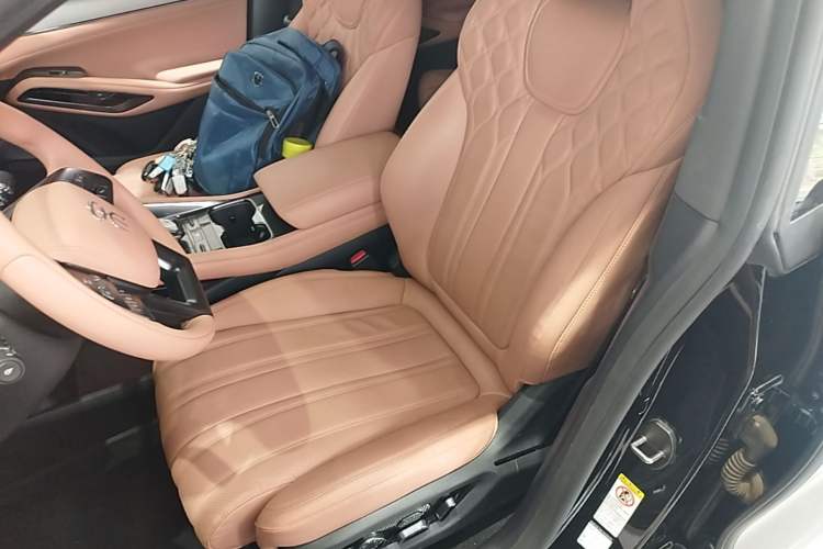 Used BYD Song L EV 2024 550 km Excellence Version Left Front Seat