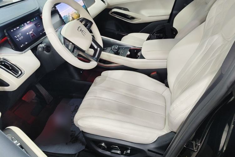 Used BYD Song L EV 2024 550 km Excellence Version Left Front Seat