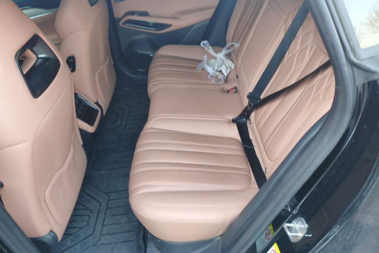 Used BYD Song L EV 2024 662 km Excellence Version Left Rear Seat