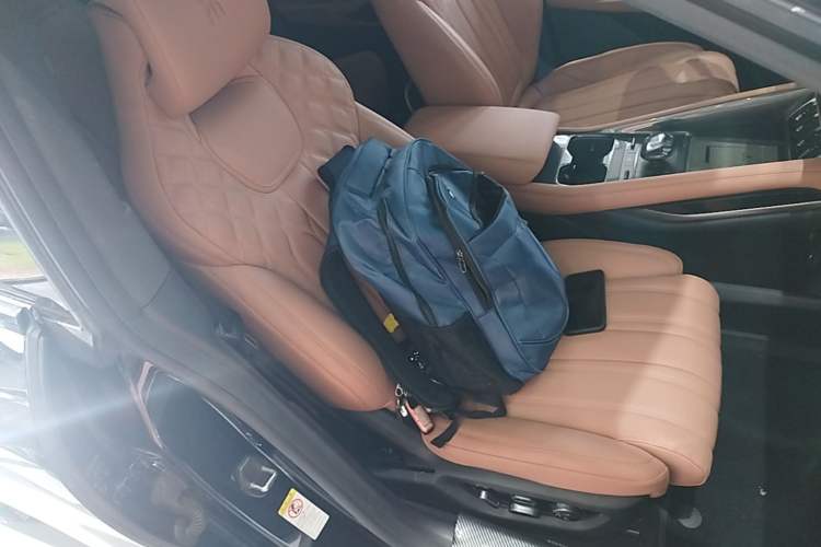 Used BYD Song L EV 2024 550 km Excellence Version Right Front Seat