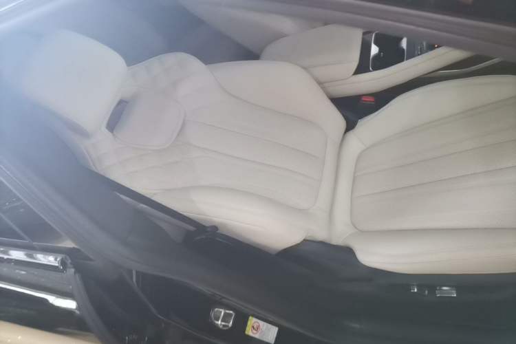 Used BYD Song L EV 2024 550 km Excellence Version Right Front Seat