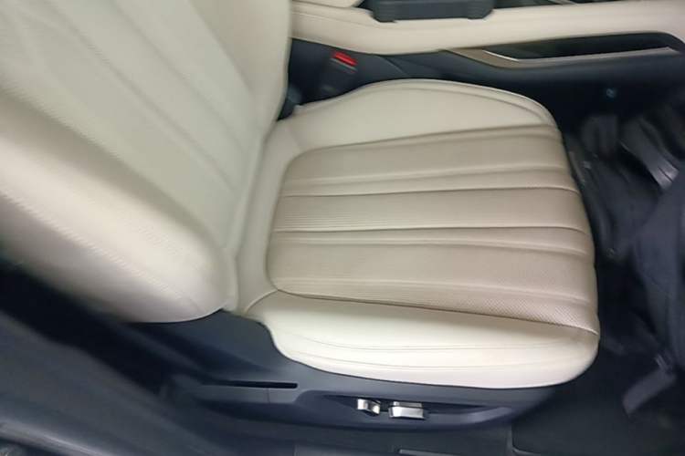 Used BYD Song L EV 2024 550km Beyond Edition Right Front Seat