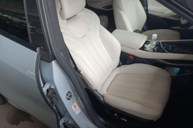 Used BYD Song L EV 2024 662 km Beyond Edition Right Front Seat