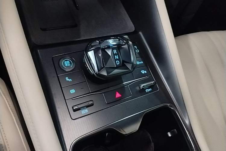 Used BYD Song L EV 2024 550km Beyond Edition Gear Lever
