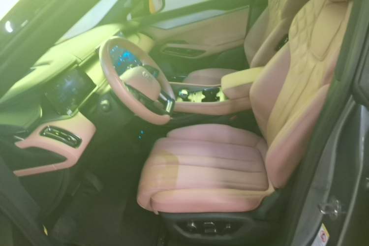 Used BYD Song L EV 2024 662 km Excellence Version Left Front Seat