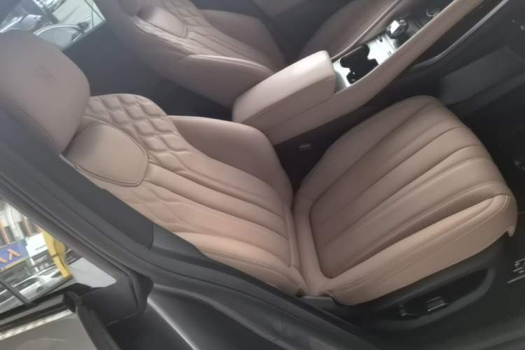 Used BYD Song L EV 2024 662 km Excellence Version Right Front Seat