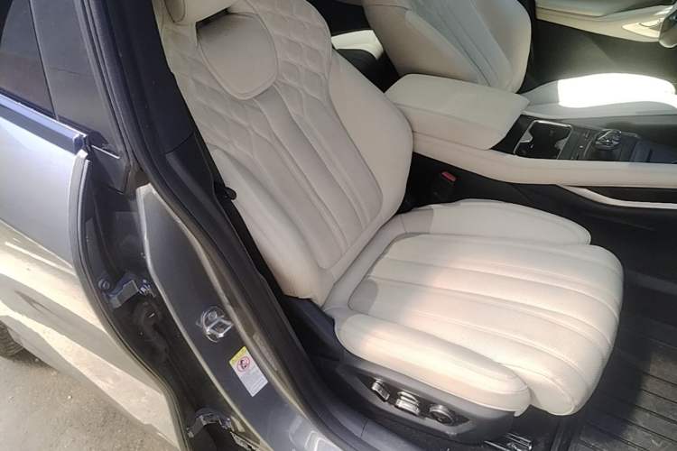 Used BYD Song L EV 2024 662 km Excellence Version Right Front Seat