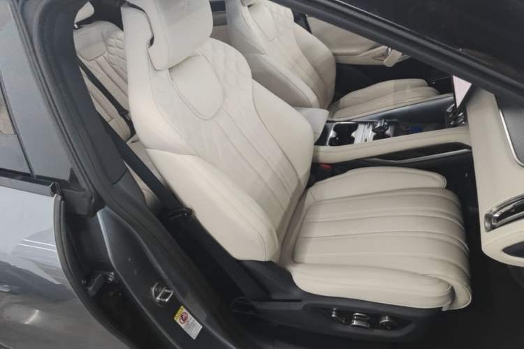 Used BYD Song L EV 2024 662 km Excellence Version Right Front Seat