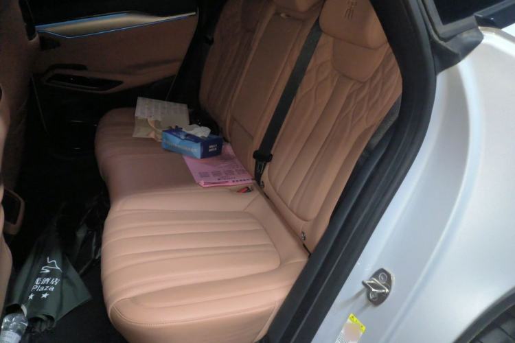 Used BYD Song L EV 2024 550 km Excellence Version Left Rear Seat