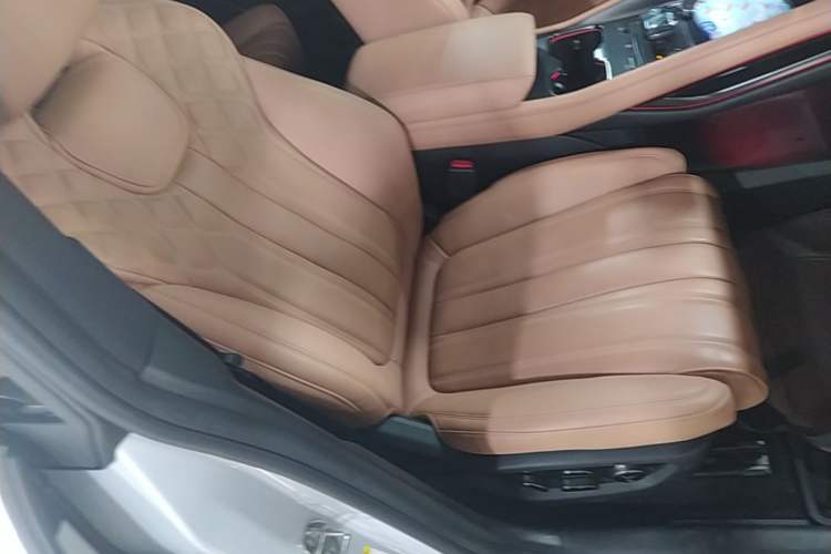 Used BYD Song L EV 2024 550 km Excellence Version Right Front Seat