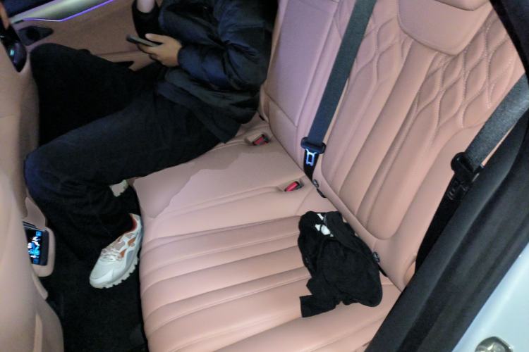 Used BYD Song L EV 2024 662 km Excellence Version Left Rear Seat